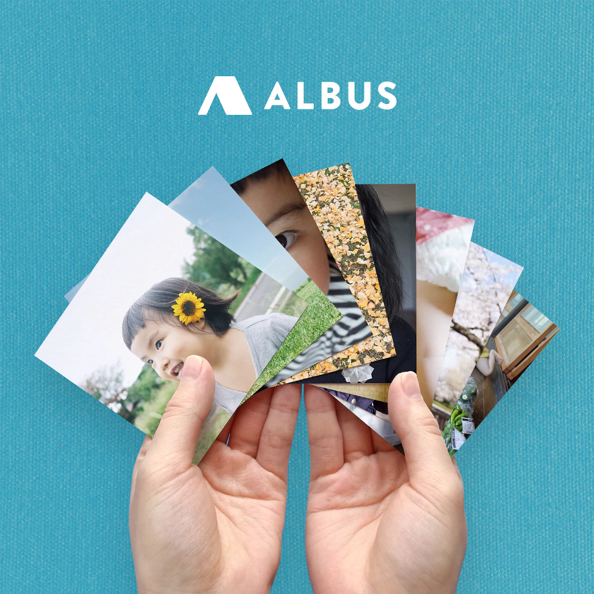 ALBUS 1枚目