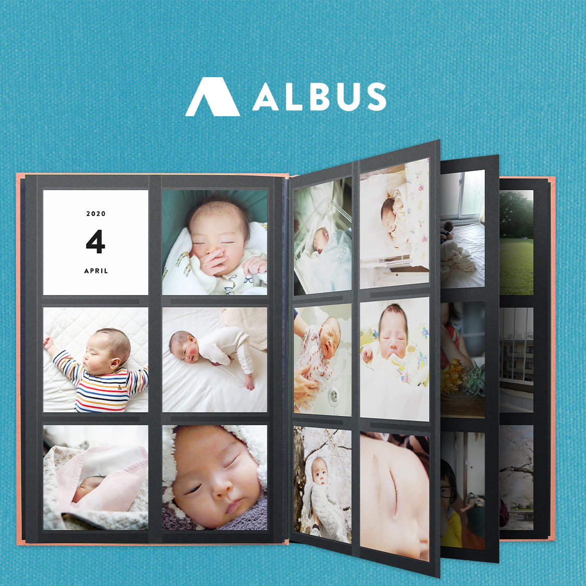 ALBUS 2枚目
