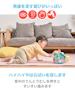 指あそびで発見！すすむバイリンガル・でんでんむし 2枚目